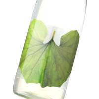 つわぶき紋次郎 1,800ml